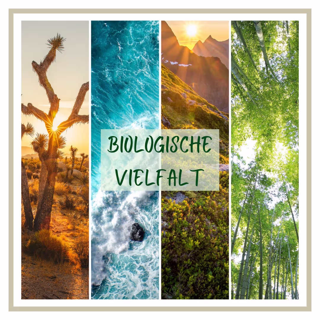 Obstbaumschnitt - Gartenpflege, Biodiversität, Jahreszeiten