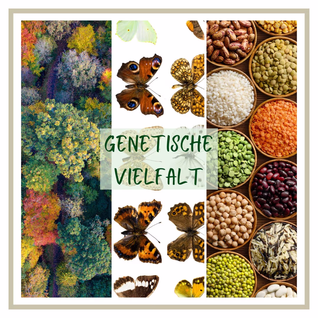 Obstbaumschnitt - Gartenpflege, Gentechnische Vielfalt