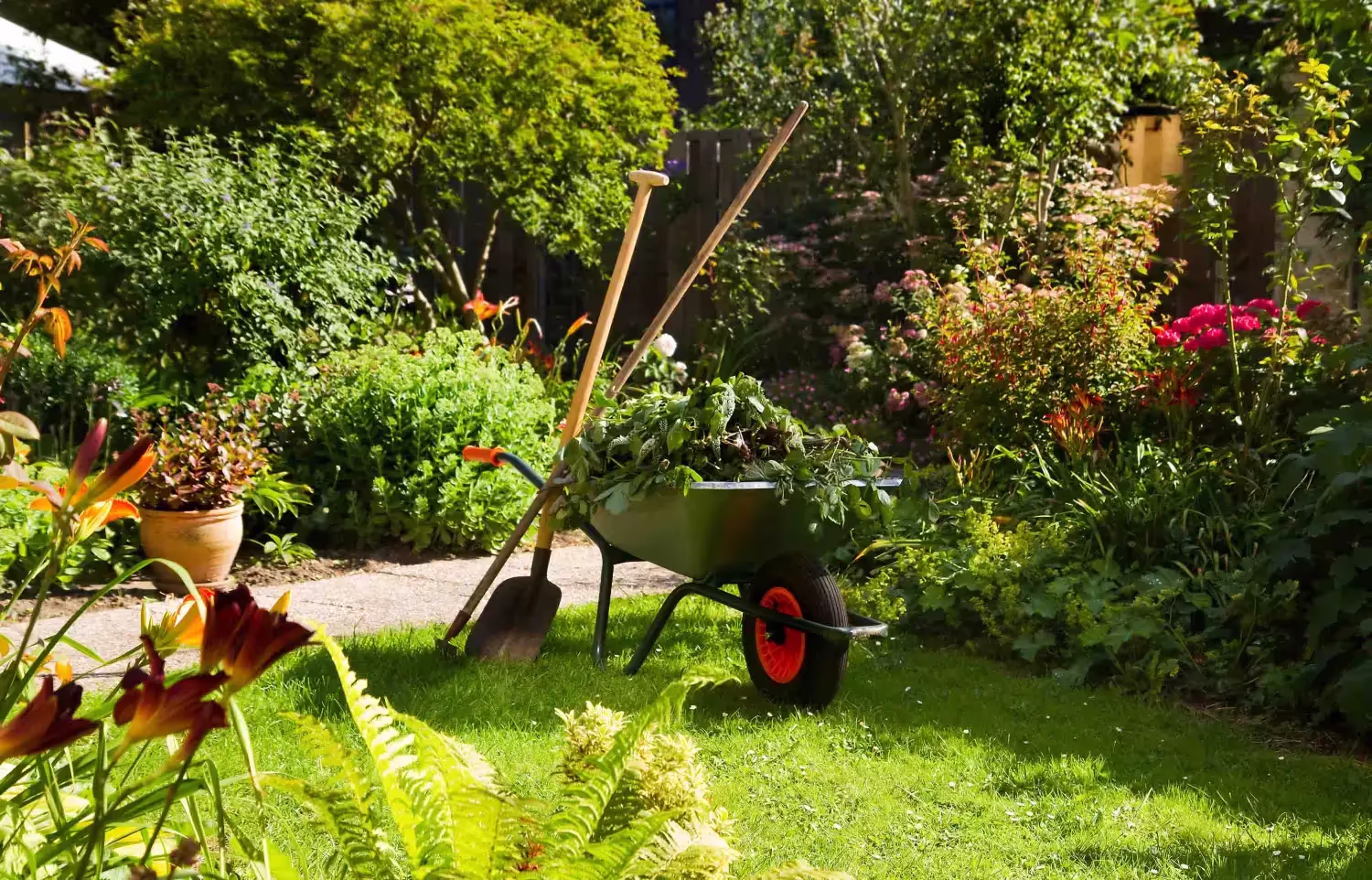 Obstbaumschnitt - Gartenpflege, Arbeiten mit Schubkarre im Garten